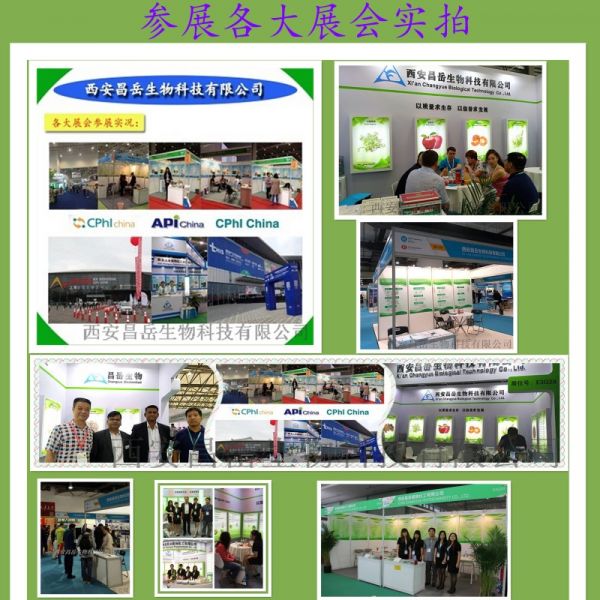 大展會(huì)