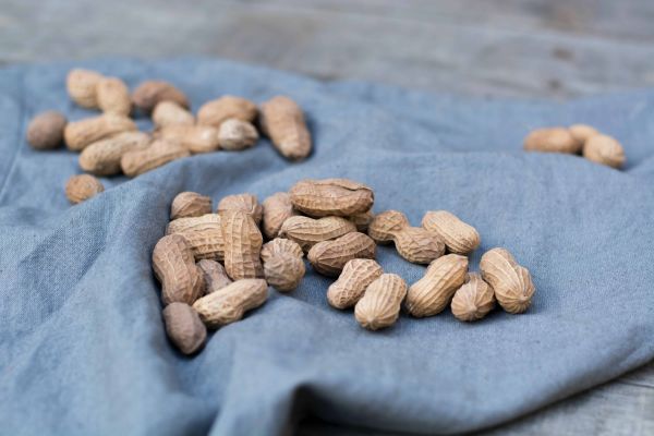 frutos para hacer cacahuete en polvo