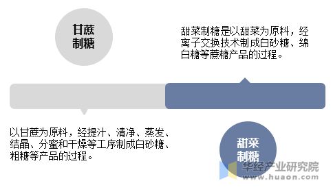 主要制糖原料介紹