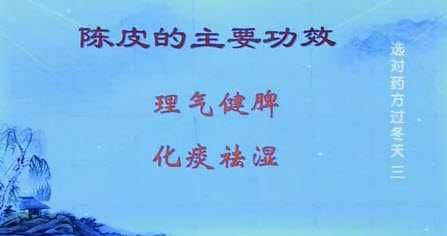 陈皮