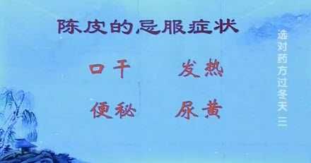 陈皮