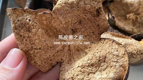 苹果山楂陈皮麦冬煮水喝的作用和功效 3