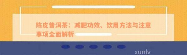 陈皮普洱茶：减肥功效、饮用方法与注意事项全面解析