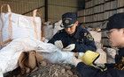 觸目驚心！連云港海關(guān)查獲82.93噸...
