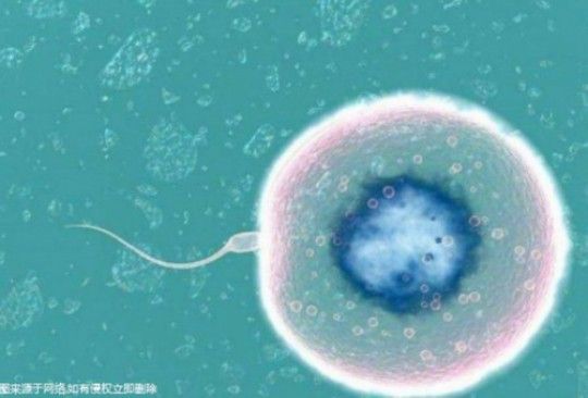 〖安怡幼兒奶粉怎么樣，安怡奶粉是哪里的品牌〗