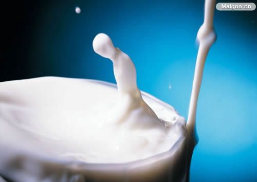 中老年奶粉与普通奶粉的区别 中老年奶粉营养分析