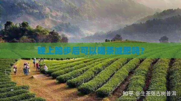 晚上跑步后可以喝茶减肥吗？