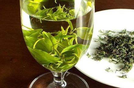 苦丁茶屬于什么茶，常喝可以減肥嗎 三聯