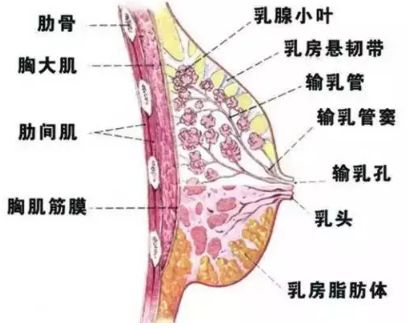 春雨醫(yī)生