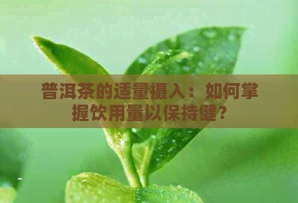 普洱茶的适量摄入：如何掌握饮用量以保持健？