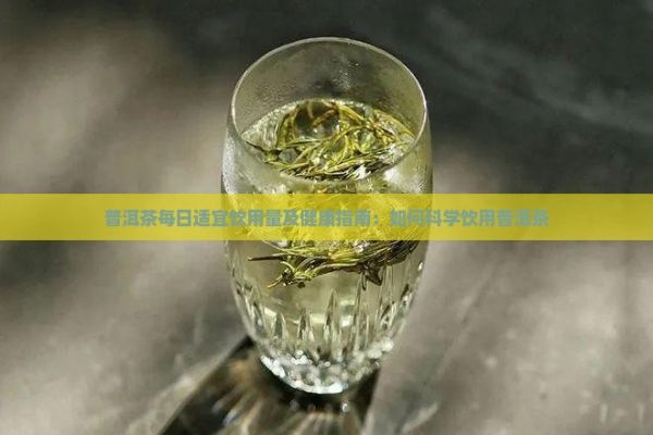 普洱茶每日适宜饮用量及健康指南：如何科学饮用普洱茶