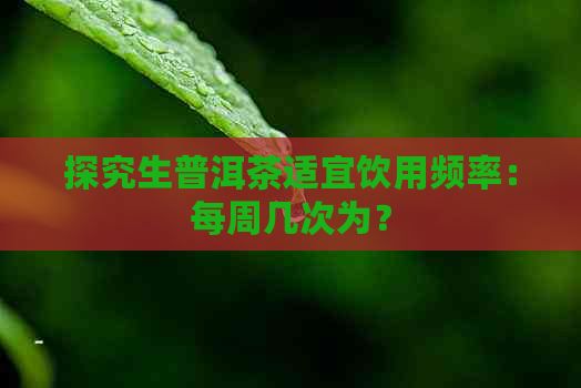 探究生普洱茶适宜饮用频率：每周几次为？