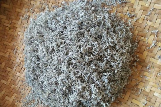張家界莓茶可以加枸杞或者紅棗嗎，莓茶的黃金搭配是什么？