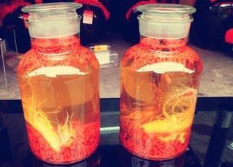 枸杞泡酒配方大全