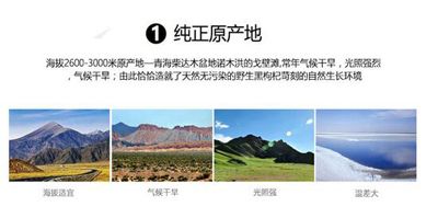 黑枸杞泡水喝放多少比较好 用多少度的水泡效果最佳