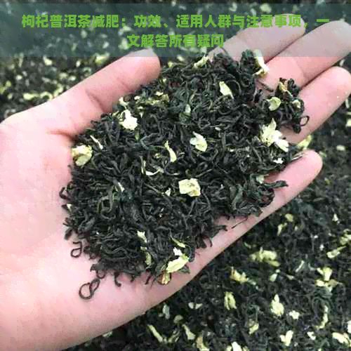 枸杞普洱茶减肥：功效、适用人群与注意事项，一文解答所有疑问