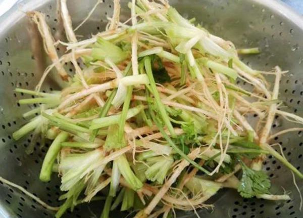 香菜根.jpg