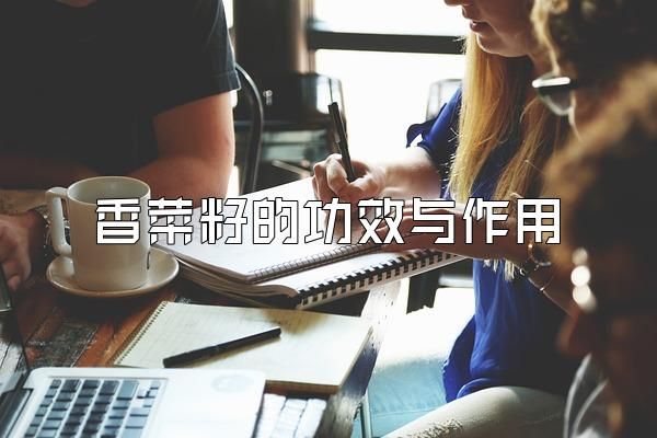 香菜籽的功效与作用