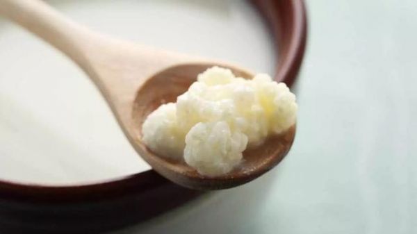 腸道菌群對健康很重要，這8種簡單發(fā)酵食品可促進消化和健康