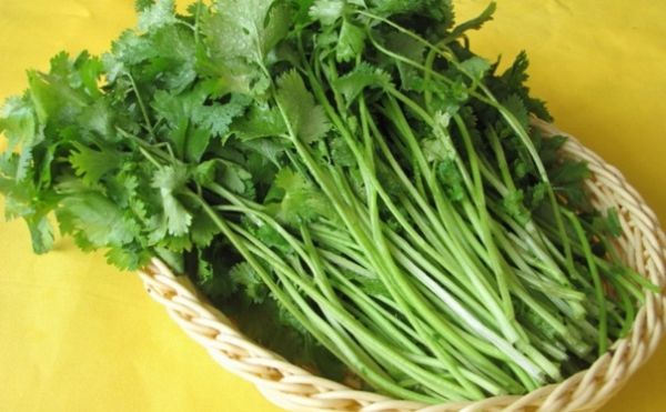 香菜的營(yíng)養(yǎng)價(jià)值是什么？吃香菜對(duì)健康有什么好處？(1)
