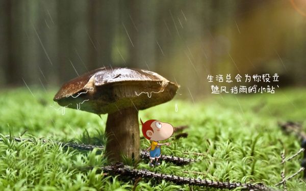 郟縣屬于哪個市()