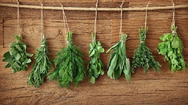 减肥最佳的时间段是什么时候 这5个时间段运动燃脂效果暴增