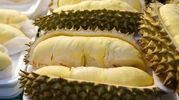 减肥最佳的时间段是什么时候 这5个时间段运动燃脂效果暴增