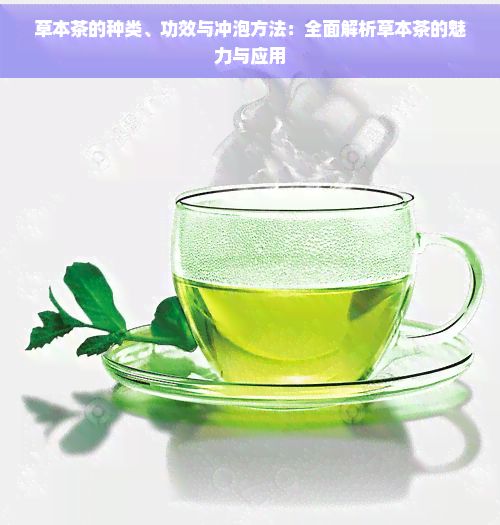 草本茶的种类、功效与冲泡方法：全面解析草本茶的魅力与应用