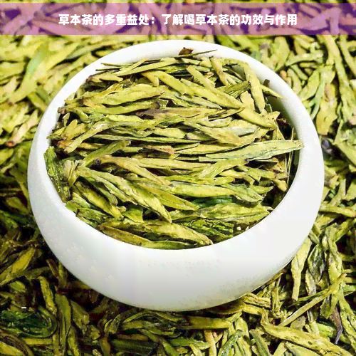 草本茶的多重益處：了解喝草本茶的功效與作用