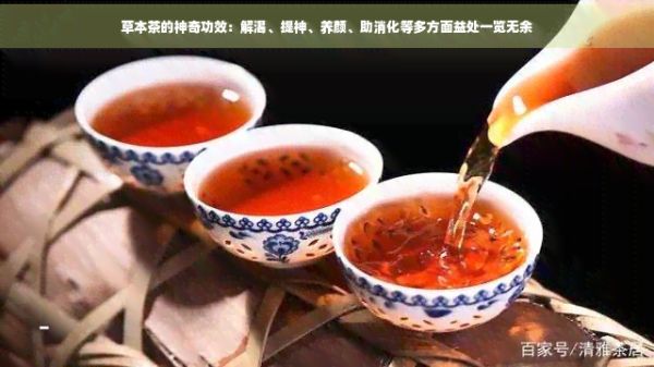 草本茶的神奇功效：解渴、提神、養(yǎng)顏、助消化等多方面益處一覽無余