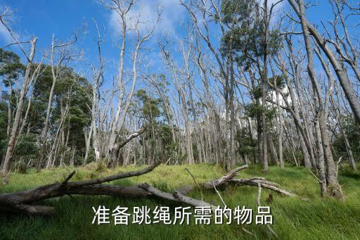  準(zhǔn)備跳繩所需的物品
