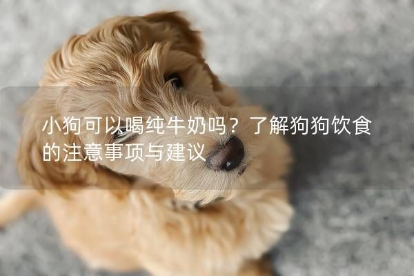 小狗可以喝純牛奶嗎？了解狗狗飲食的注意事項(xiàng)與建議