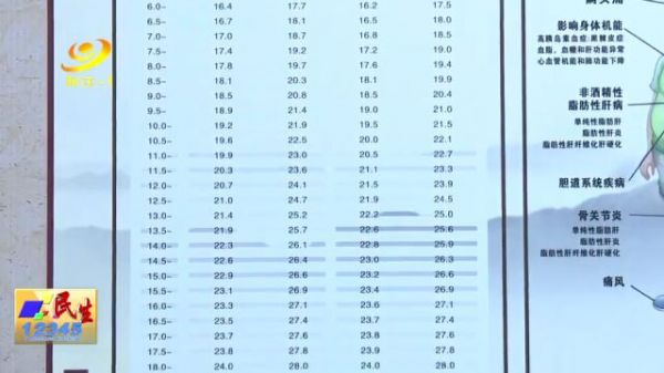 Thumbplayer Poster Plugin Image