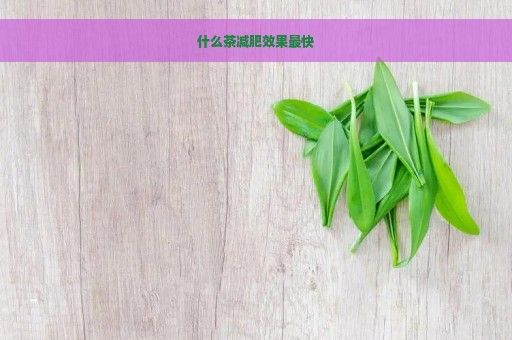 什么茶減肥效果最快