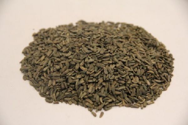 苗條燃脂中藥減肥茶 促進新陳代謝
