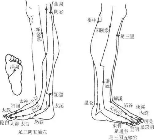 養(yǎng)腿＝養(yǎng)命！春天做腿的8大好處