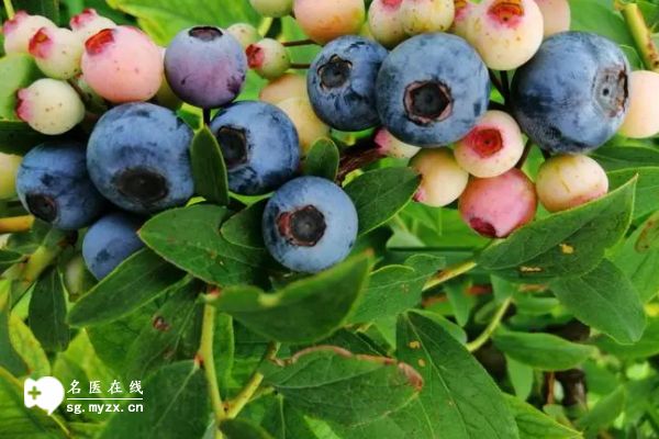 孕婦可以多吃這幾種水果，不僅低糖分還能營養(yǎng)均衡