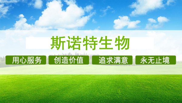 斯諾特生物