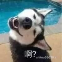 頭像