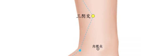 每天按摩三阴交穴的好处有哪些 按摩三阴交穴的好处 三阴交穴按摩