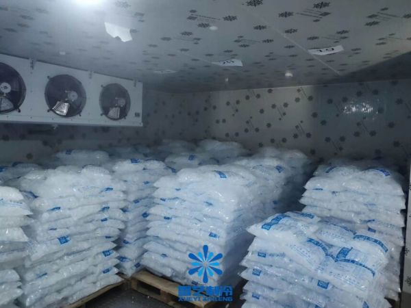 冰块冷库，食用冰块冷库建造找上海雪艺制冷