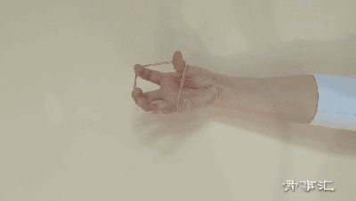 81541660186505167