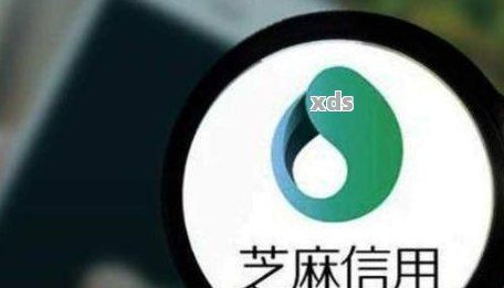 熟普洱茶是什么意思？熟普洱茶的定義、特點及功效，百度百科詳解