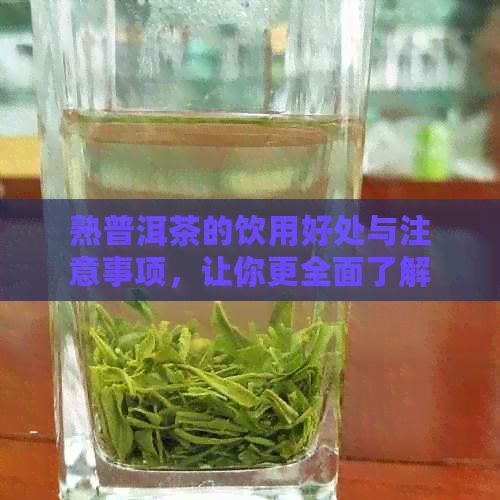 熟普洱茶的饮用好处与注意事项，让你更全面了解天天喝熟普洱茶的影响