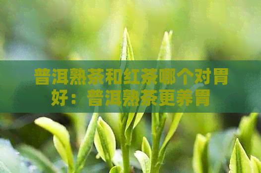 普洱熟茶和红茶哪个对胃好：普洱熟茶更养胃