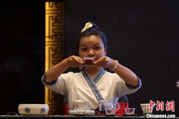 圖為國家高級茶藝師現(xiàn)場沖泡低氟普洱健康茶?！∶赚敋W珠 攝