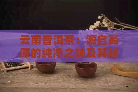 云南普洱茶：源自高原的純凈之味及其越健效益