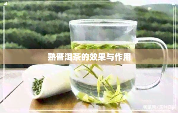 熟普洱茶的效果与作用