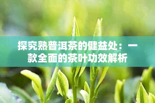 探究熟普洱茶的健益处:一款全面的茶叶功效解析