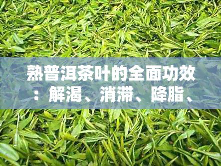 熟普洱茶叶的全面功效:解渴、消滞、降脂、助消化等,一篇解答您所有疑问